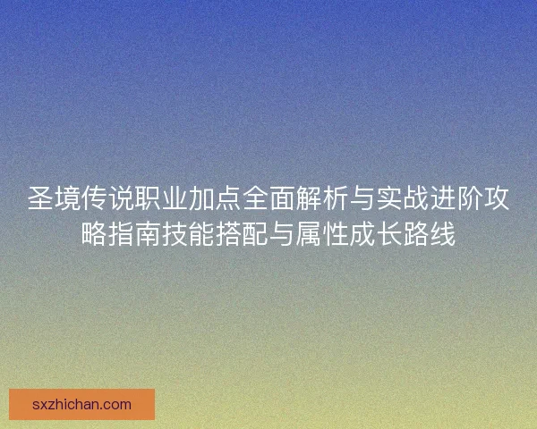 圣境传说职业加点全面解析与实战进阶攻略指南技能搭配与属性成长路线